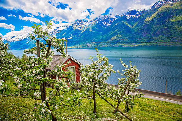 View of Norwegian fjord in summer