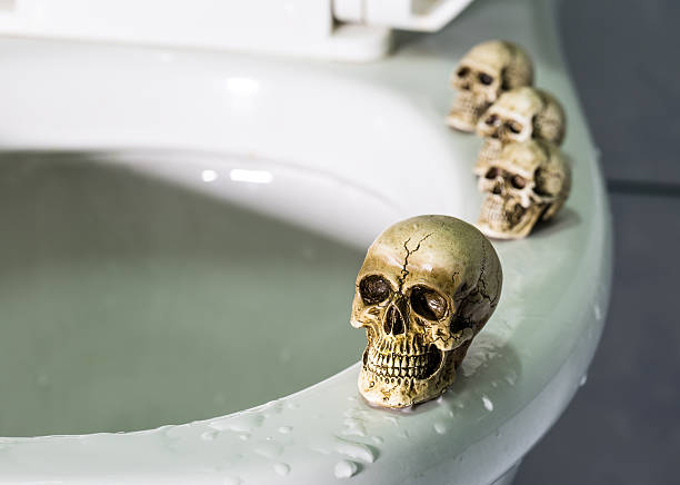 istock Four skulls on rim swimming pool(toilet). 472779066
