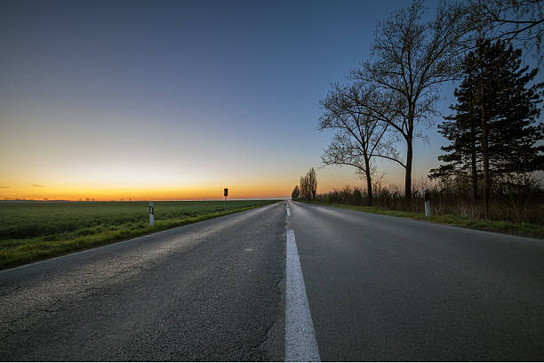 istock Bare trees by the long empty road at sunset 472779386