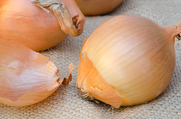 istock Ripe unpeeled onion on sacking close up 472779522