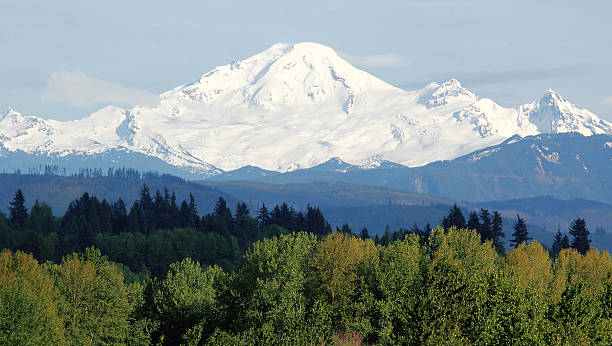 Snow Pack on Mount Baker Mid Spring and Mount Baker, Washington has a large snow pack.  mt baker stock pictures, royalty-free photos & images