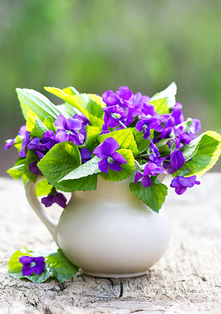 Beautiful Spring Flowers-Howard County Indiana
