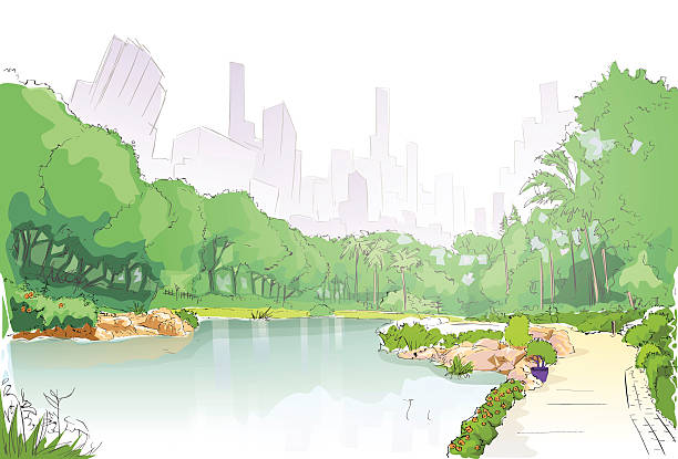 stockillustraties, clipart, cartoons en iconen met green park in city center pond trees and road path - city park