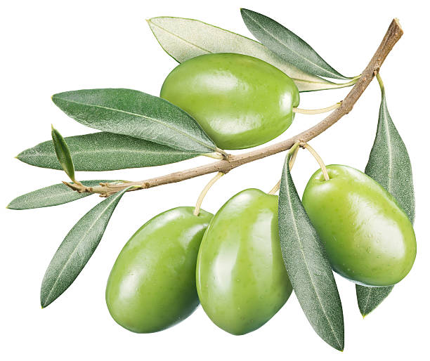 istock Green olives with leaves. 472789746