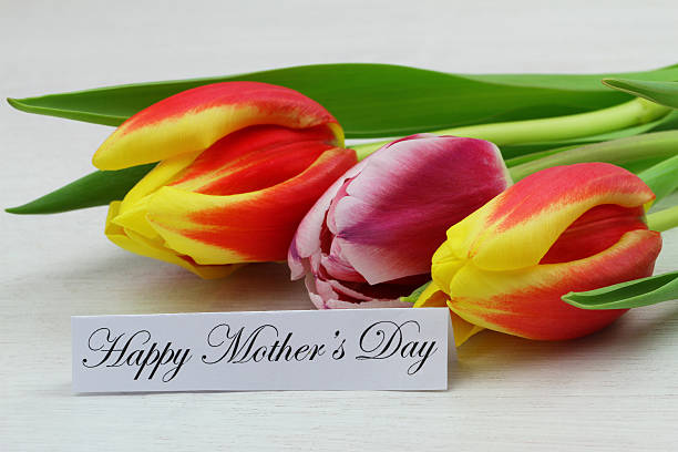 счастливый день матери открытка с красочные тюльпаны - mothers day tulip yellow greeting card стоковые фото и изображения