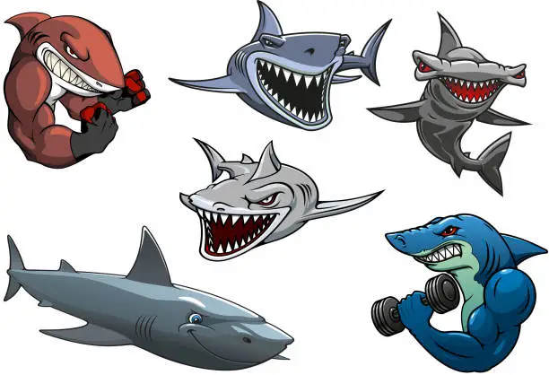 Vector illustration of Angry grey, white and hammerhead sharks cartoon characters