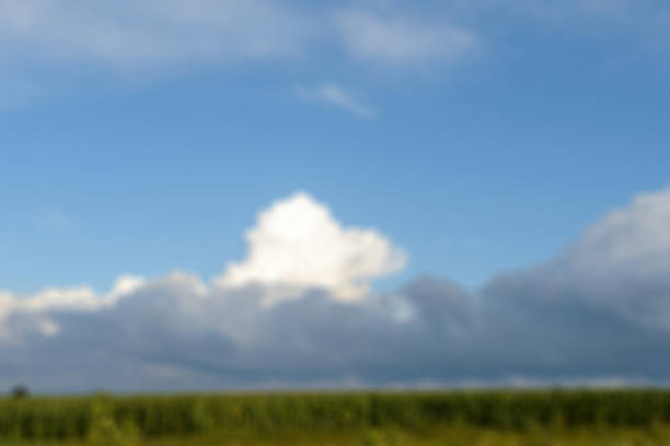 istock Green field with flowers under cloudy sky 472805386