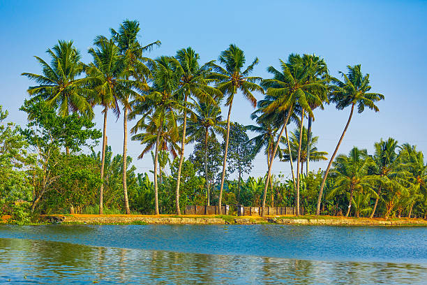 istock Backwaters of Kerala 472805922
