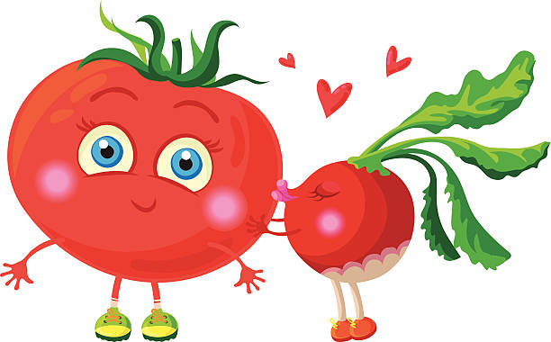 bildbanksillustrationer, clip art samt tecknat material och ikoner med radish in love with tomato. vector characters. - awkward kiss