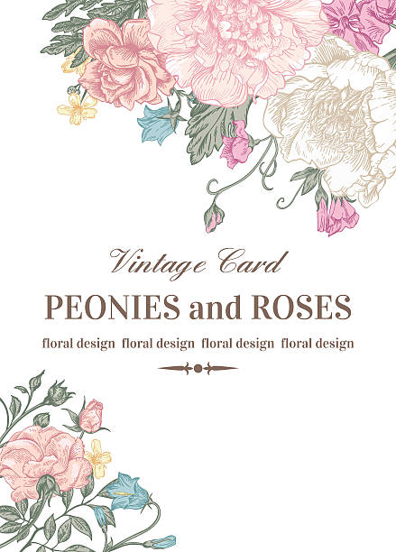 카드, 장미 및 peonies. - frame flower ornamental garden beauty in nature stock illustrations