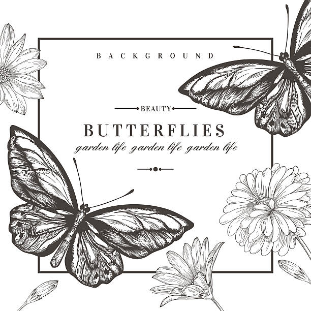 illustrazioni stock, clip art, cartoni animati e icone di tendenza di carta con farfalle e fiori. - giardino