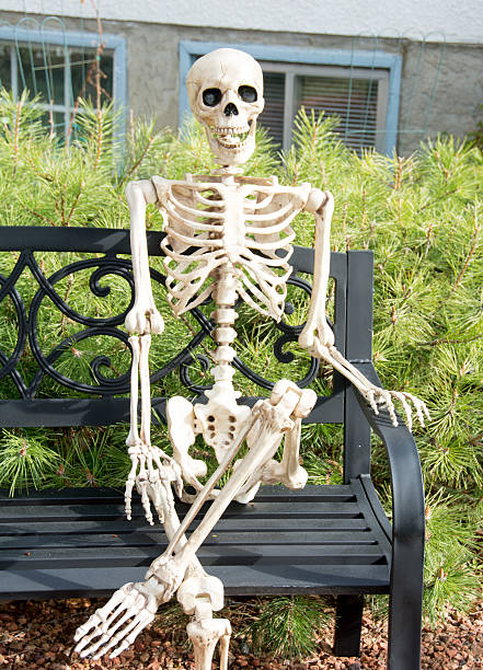 istock Skeleton out in the yard sitting on garden bench 472822352