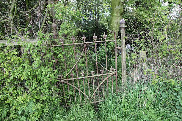 rusty gate - hroizontal stock-fotos und bilder