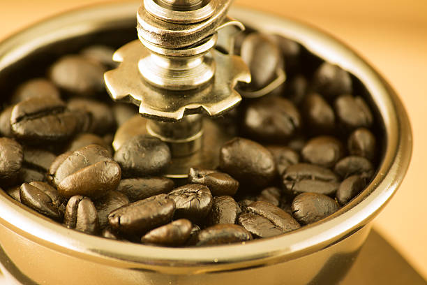 Wooden manual coffee grinder