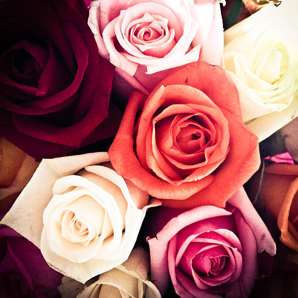 istock Bunch of colourful roses from above 472837358