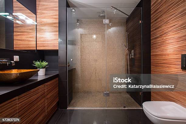 Wooden Details In Luxury Bathroom Stock Photo - Download Image Now - Exclusive, Toilet, Bathroom