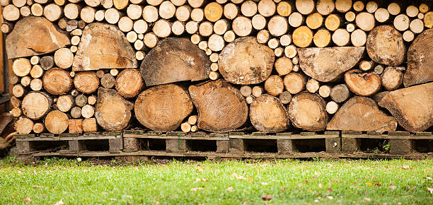 Pieces of wood stock photo