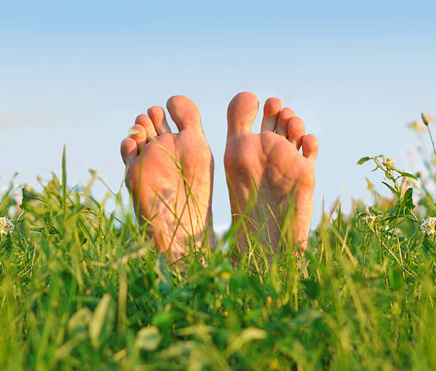 istock Feet in a green grass 472845874