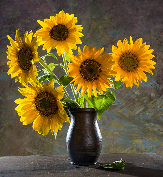 istock Beautiful sunflowers 472850620