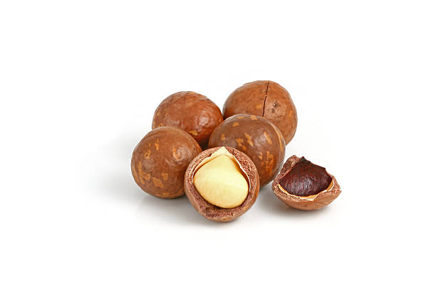 istock Shelled and unshelled macadamia nuts isolated on white 472853346