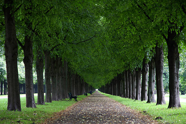 George Gardens (Herrenhauser Allee) in Hannover, Germany