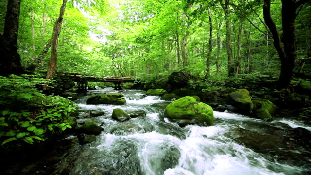 Green stream.