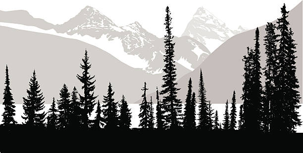 ilustrações, clipart, desenhos animados e ícones de rocky mountain árvores - mountain mountain range rocky mountains silhouette