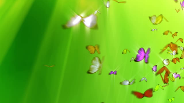 Butterflies Flying on Green Background + Alpha Channel