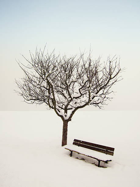 istock wonderful winter landscape, apple tree and bench 472864042