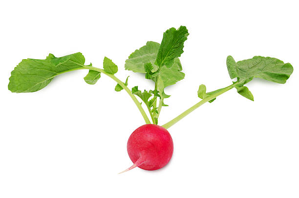 istock Fresh radish isolated on white background 472864226