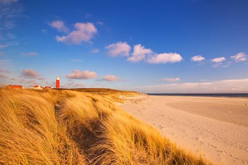 The lighthouse of the island of Texel in The Netherlands surrounded by tall sand dunes in beautiful early morning sunlight.