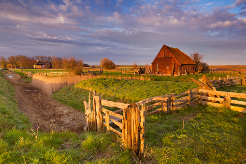 An old traditional sheep barn or 'schapenboet' on the island of Texel in The Netherlands in early morning sunlight.