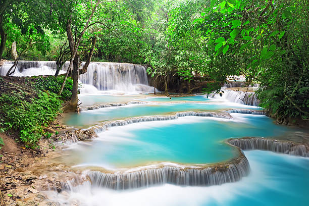 wodospad w głębokich deszczu las tropikalny - beauty in nature clean cool stream zdjęcia i obrazy z banku zdjęć