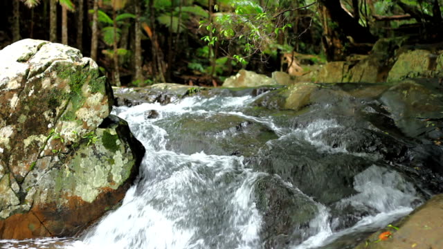 River stream waterfall