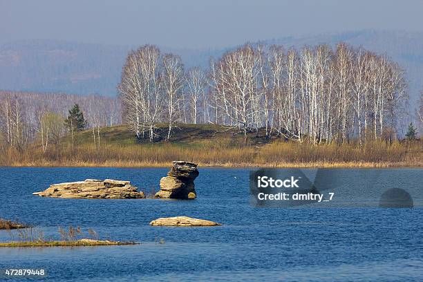 Islets Stock Photo - Download Image Now - 2015, Bare Tree, Beauty In Nature