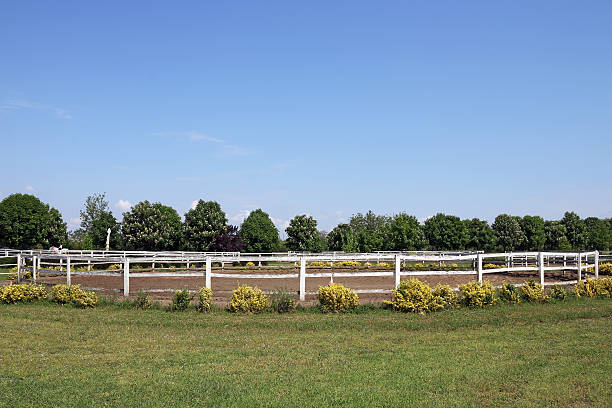 istock paddock trees and blue sky country landscape 472879620