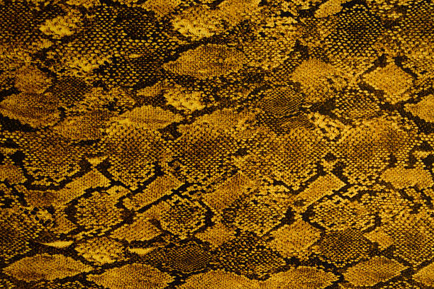 istock texture of print fabric striped snake leather for background 472889266