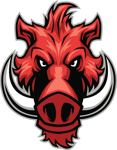 Domesticated Razorback 100+ Razorback Mascot Domestic Pig Pig Stock Illustrations, Royalty ...