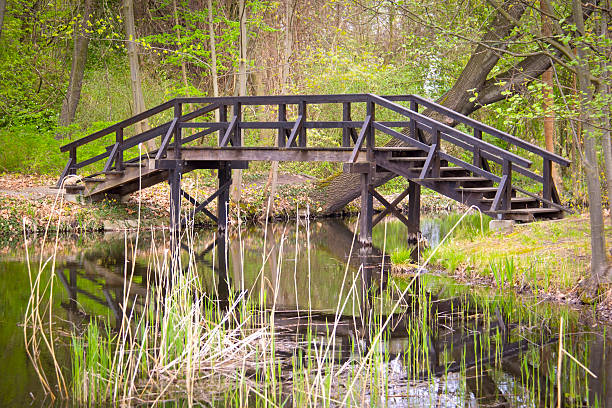 The Famous Spreewald Biosphere Reserve, Brandenburg, Germany.