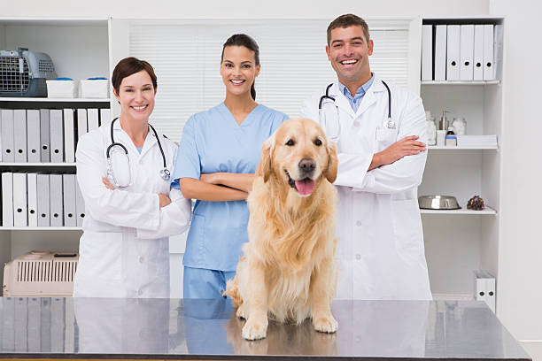istock Veterinarian coworker smiling at camera with dog 472899418