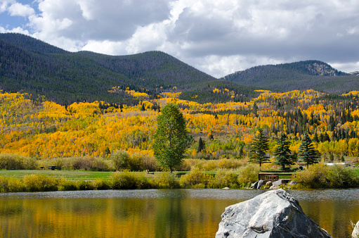 The mountainsides in Summit County, Colorado shimmer with the orange, gold and green colors of autumn.  Pictured here are the pine and aspen forests cascading down the mountains, with a lake in the foreground.