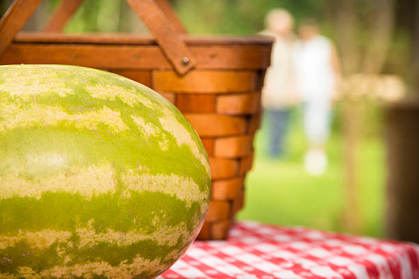 watermelon on a white background