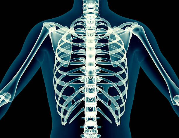 istock X-ray human body of a man with skeleton 472900394