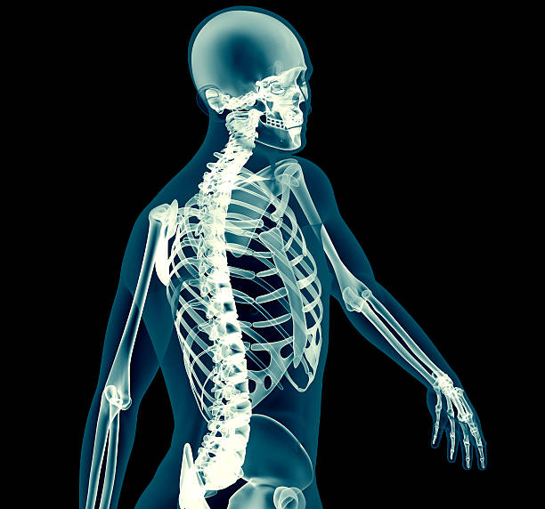 istock X-ray human body of a man with skeleton 472900398