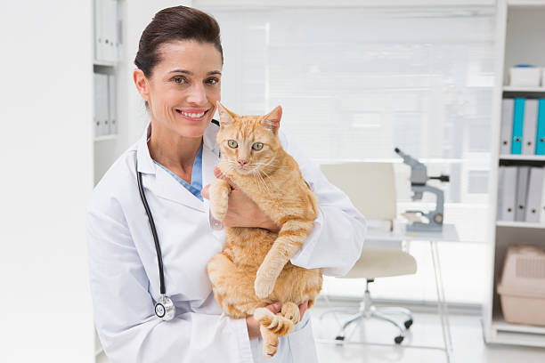 istock Smiling veterinarian with a cute cat in her arms 472903912