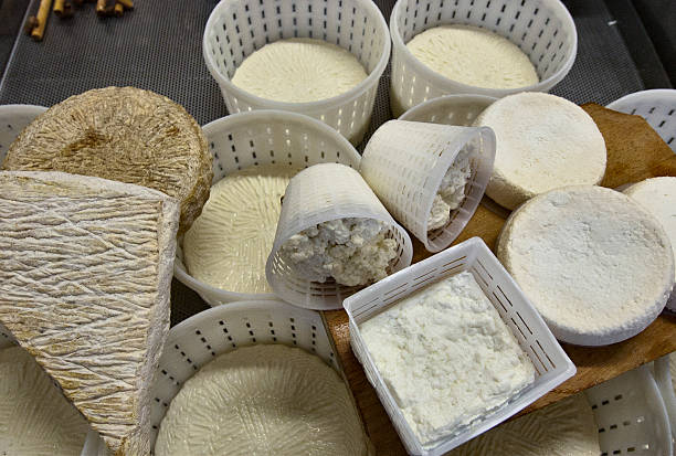 istock assortment of italian fresh cheeses 472905372