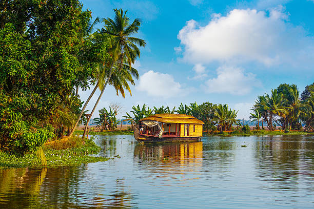 remansos de kerala de - south fotografías e imágenes de stock