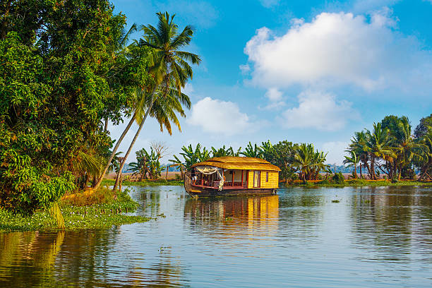 Backwaters of Kerala Houseboat on Kerala backwaters - India houseboat photos stock pictures, royalty-free photos & images