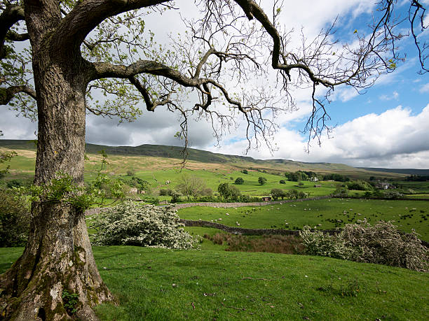 istock landscape in The Eden Valley, N Yorkshire, Britain 472923520