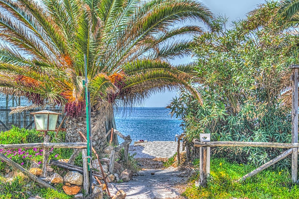 palm and sand in a tropical beach in hdr tone mapping effect